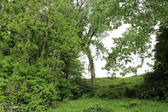 $399,000 | 8311 Highway 302 Road, Walls, MS 38680