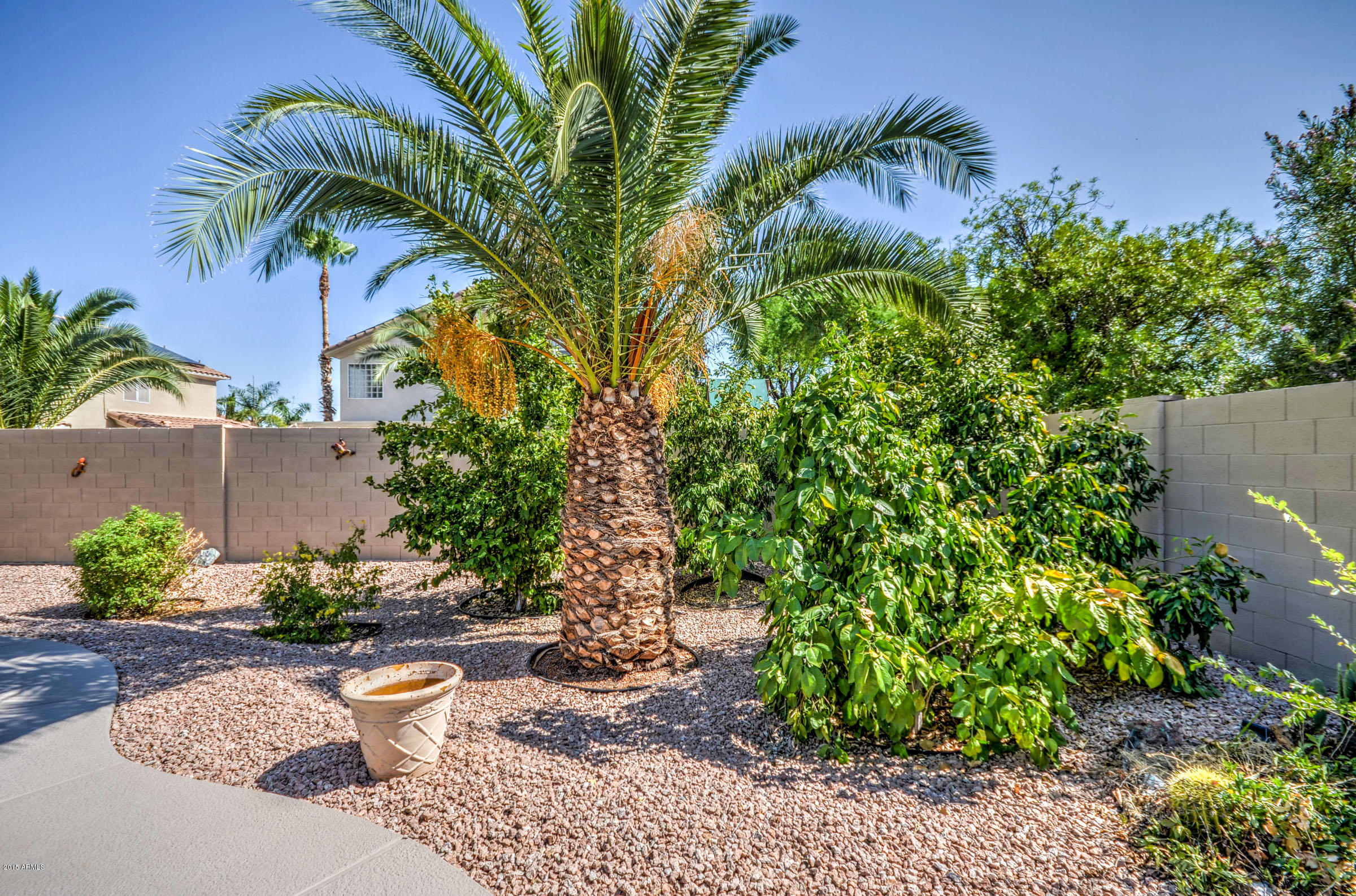 5311 East Danbury Road Scottsdale, AZ 85254 - Photo 39 of 39 a view of a backyard with plants and a garden