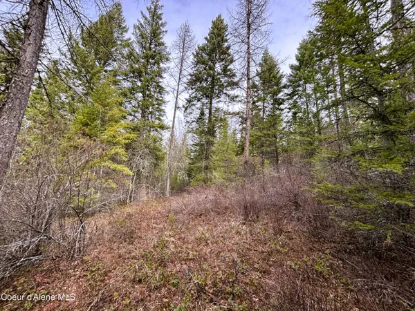 $239,000 | Nna Nna Road, Cocolalla, ID 83813