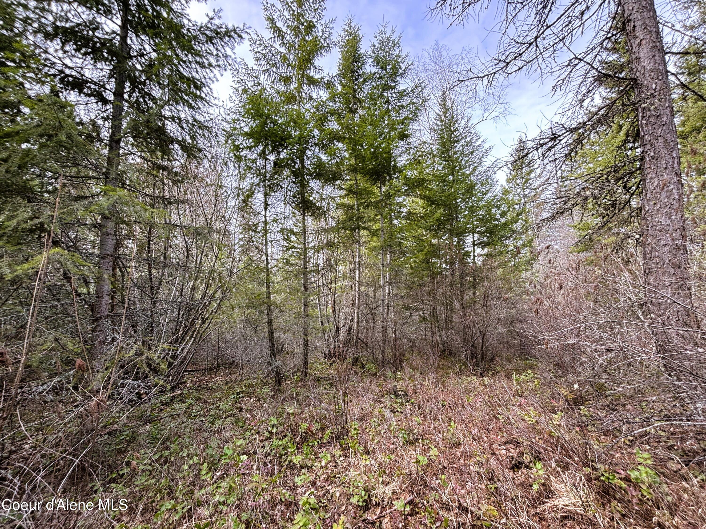 Nna Nna Road Cocolalla, ID 83813 - Photo 11 of 19 6