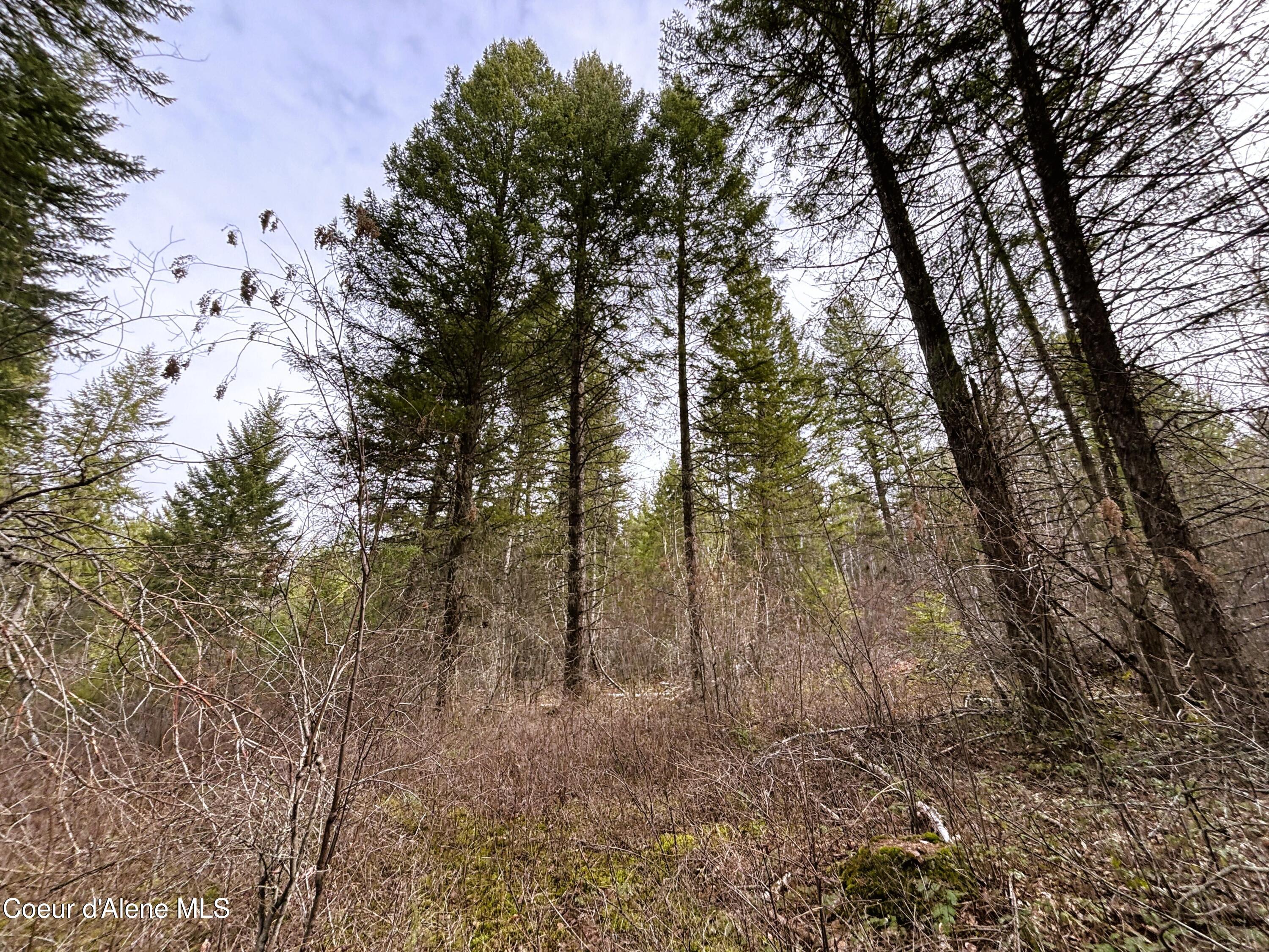 Nna Nna Road Cocolalla, ID 83813 - Photo 12 of 19 7