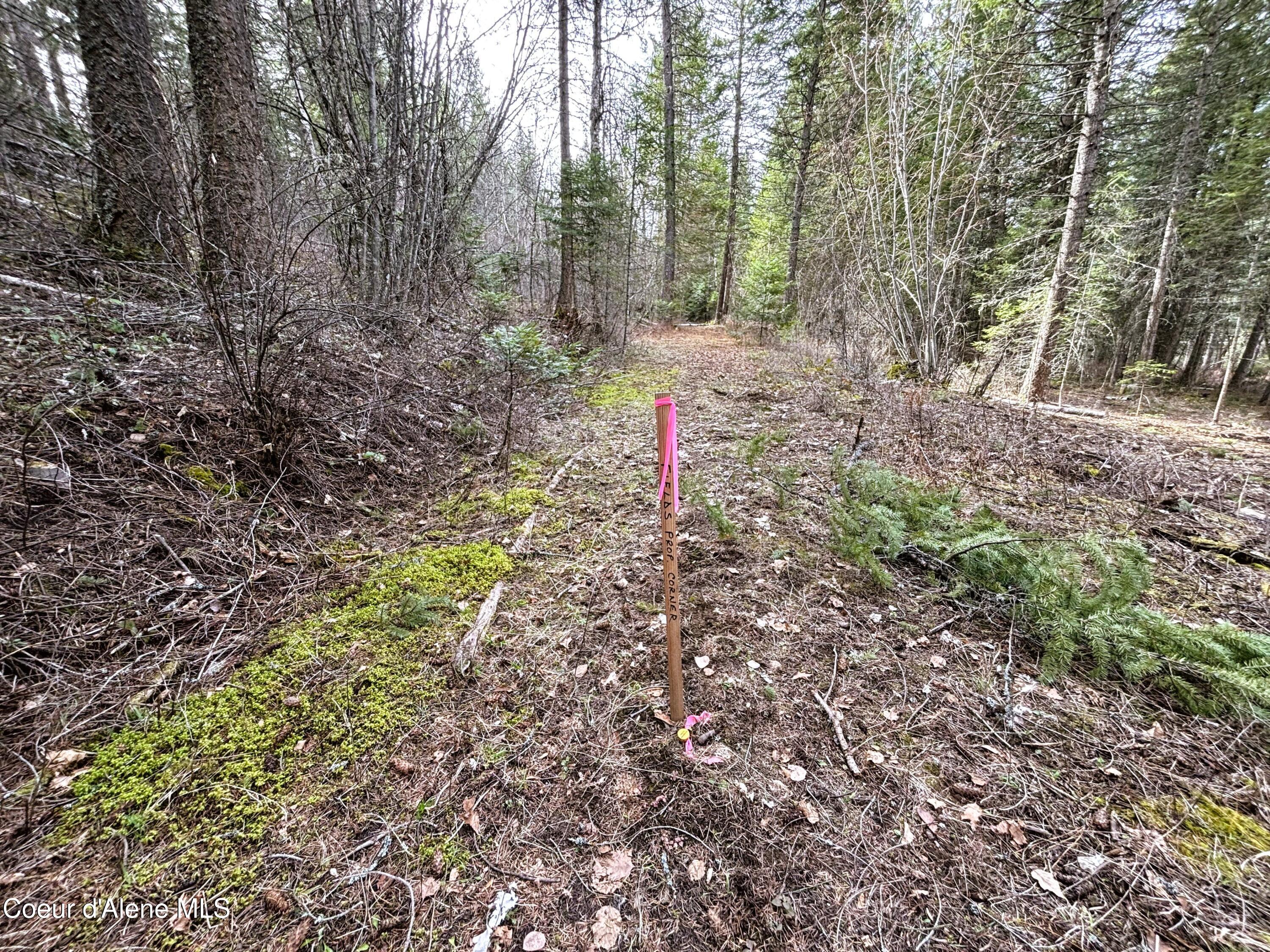 Nna Nna Road Cocolalla, ID 83813 - Photo 14 of 19 NW corner