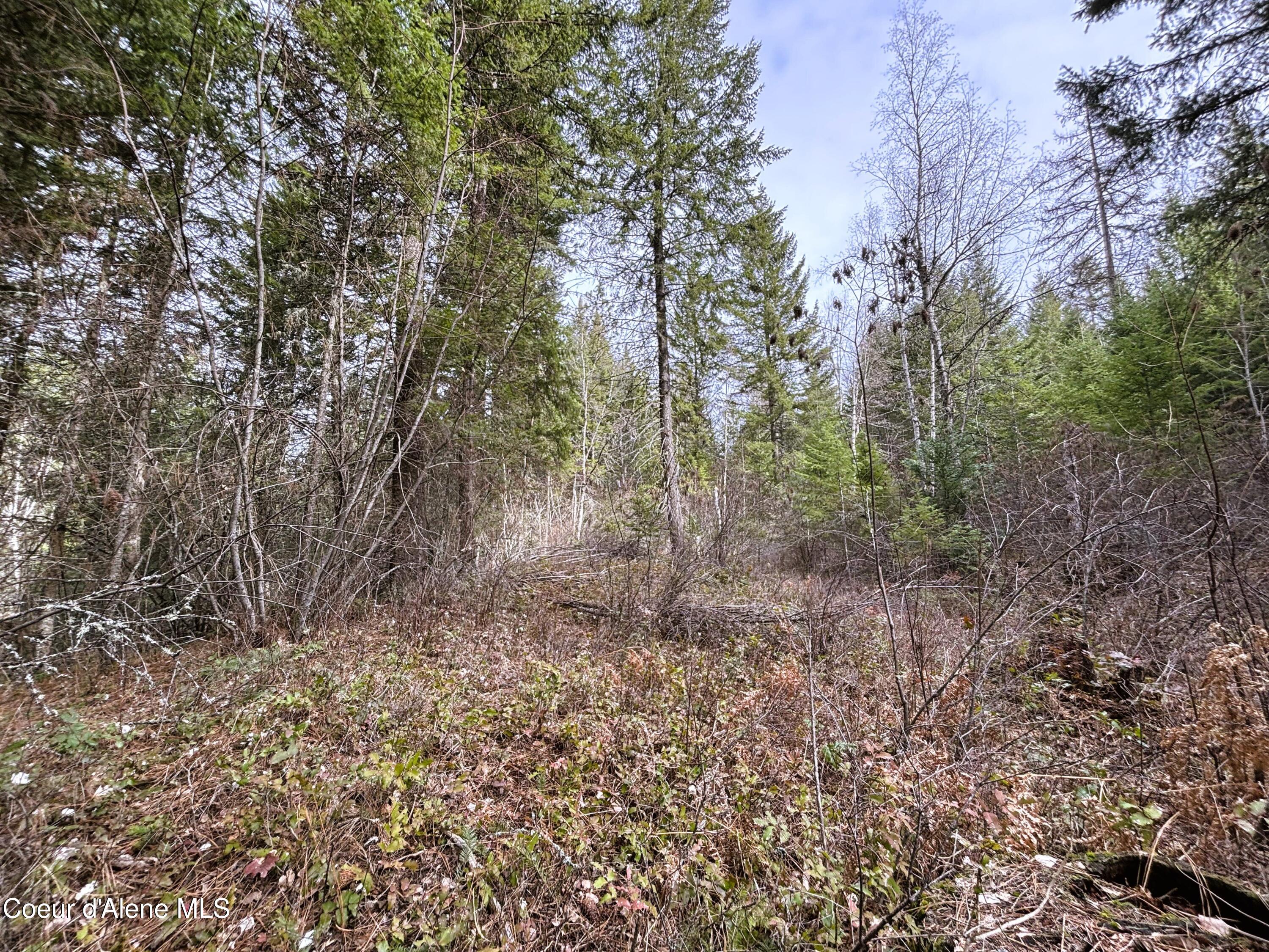 Nna Nna Road Cocolalla, ID 83813 - Photo 15 of 19 Open area