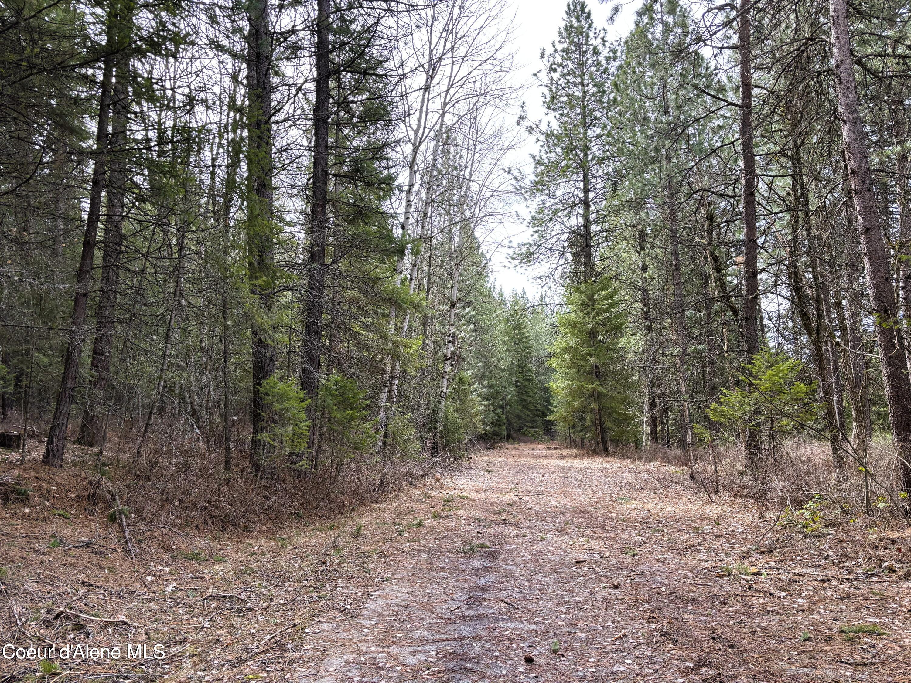 Nna Nna Road Cocolalla, ID 83813 - Photo 2 of 19 No End Rd