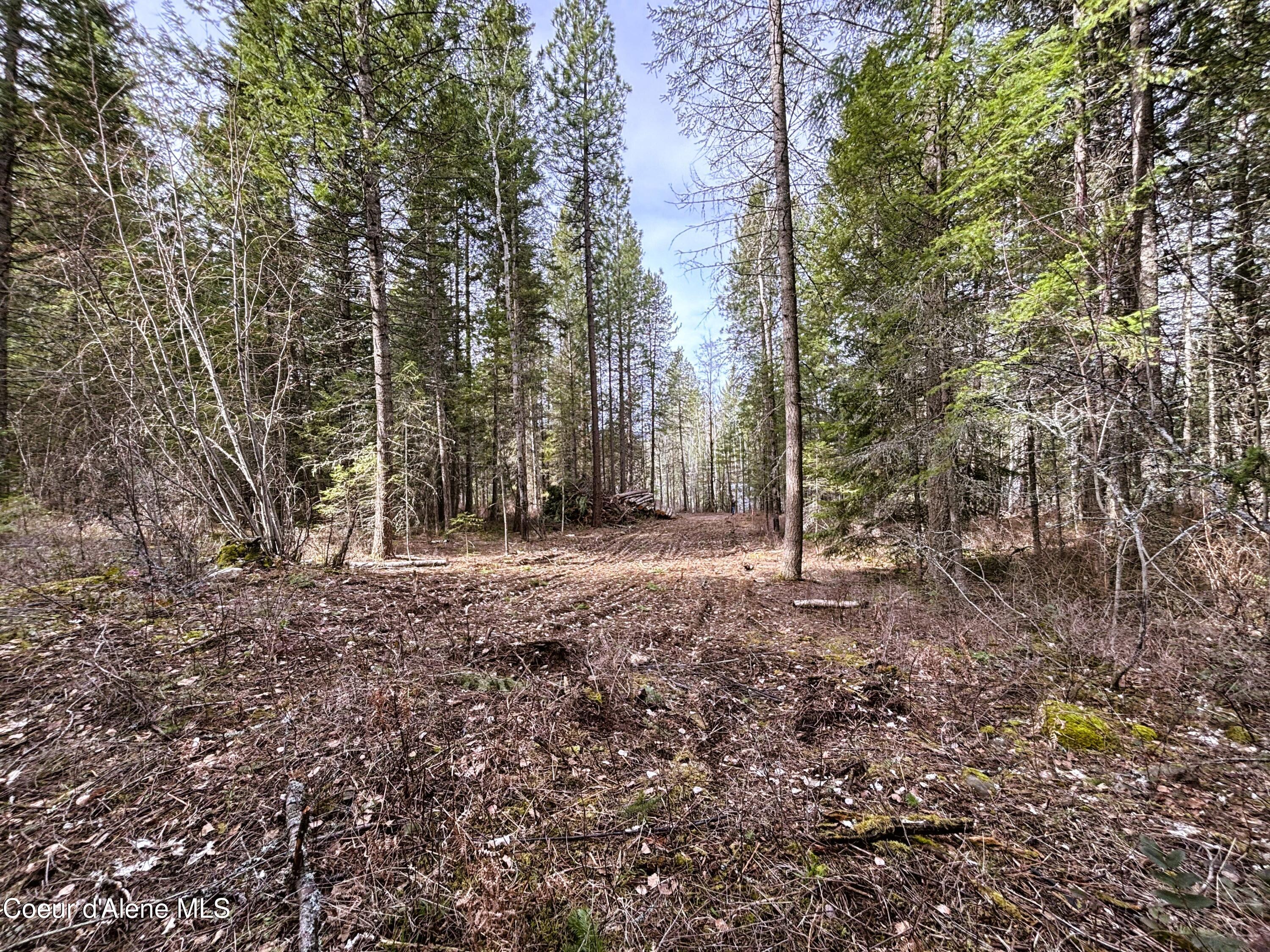 Nna Nna Road Cocolalla, ID 83813 - Photo 4 of 19 Driveway easement