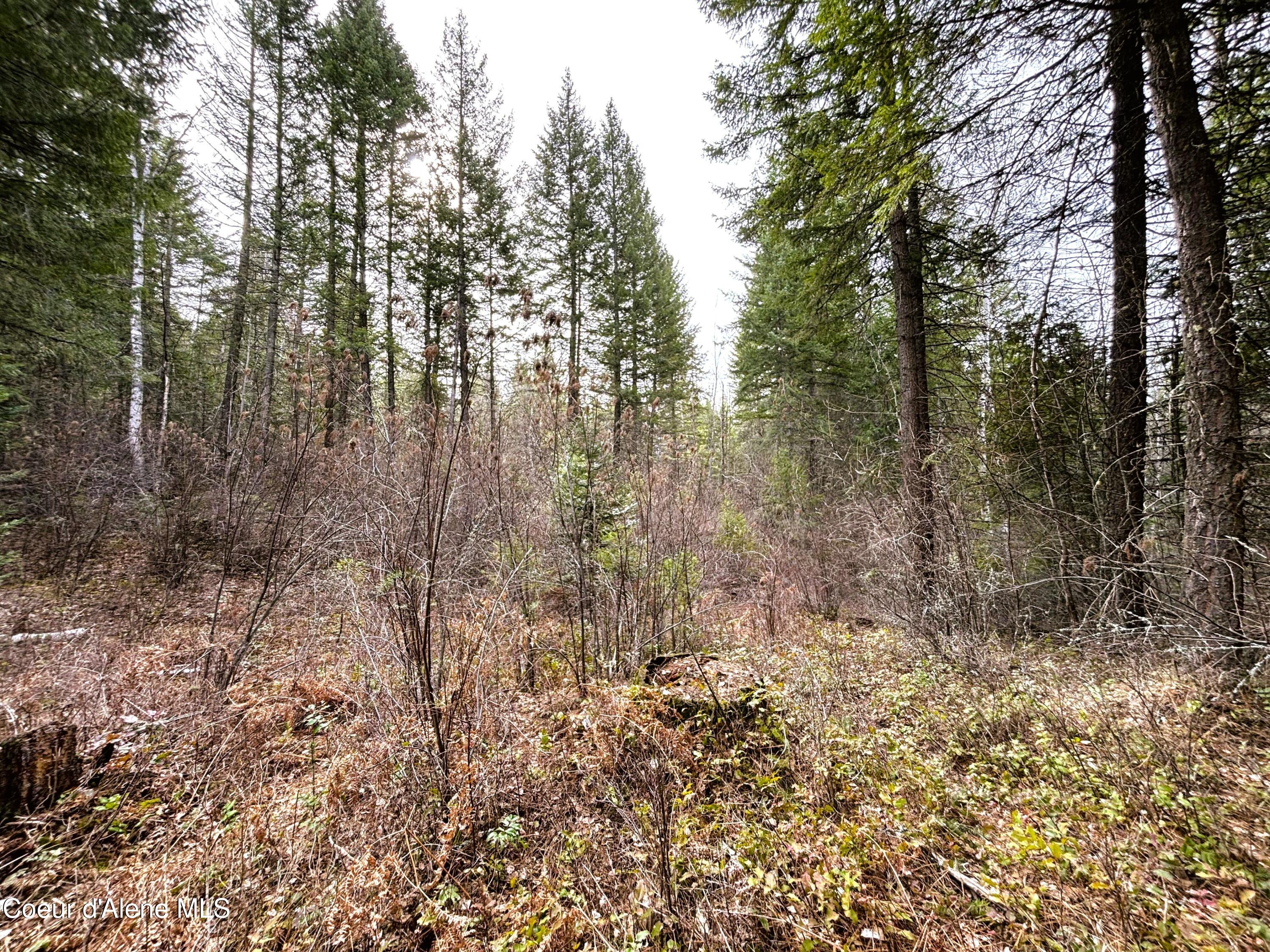 Nna Nna Road Cocolalla, ID 83813 - Photo 6 of 19 1