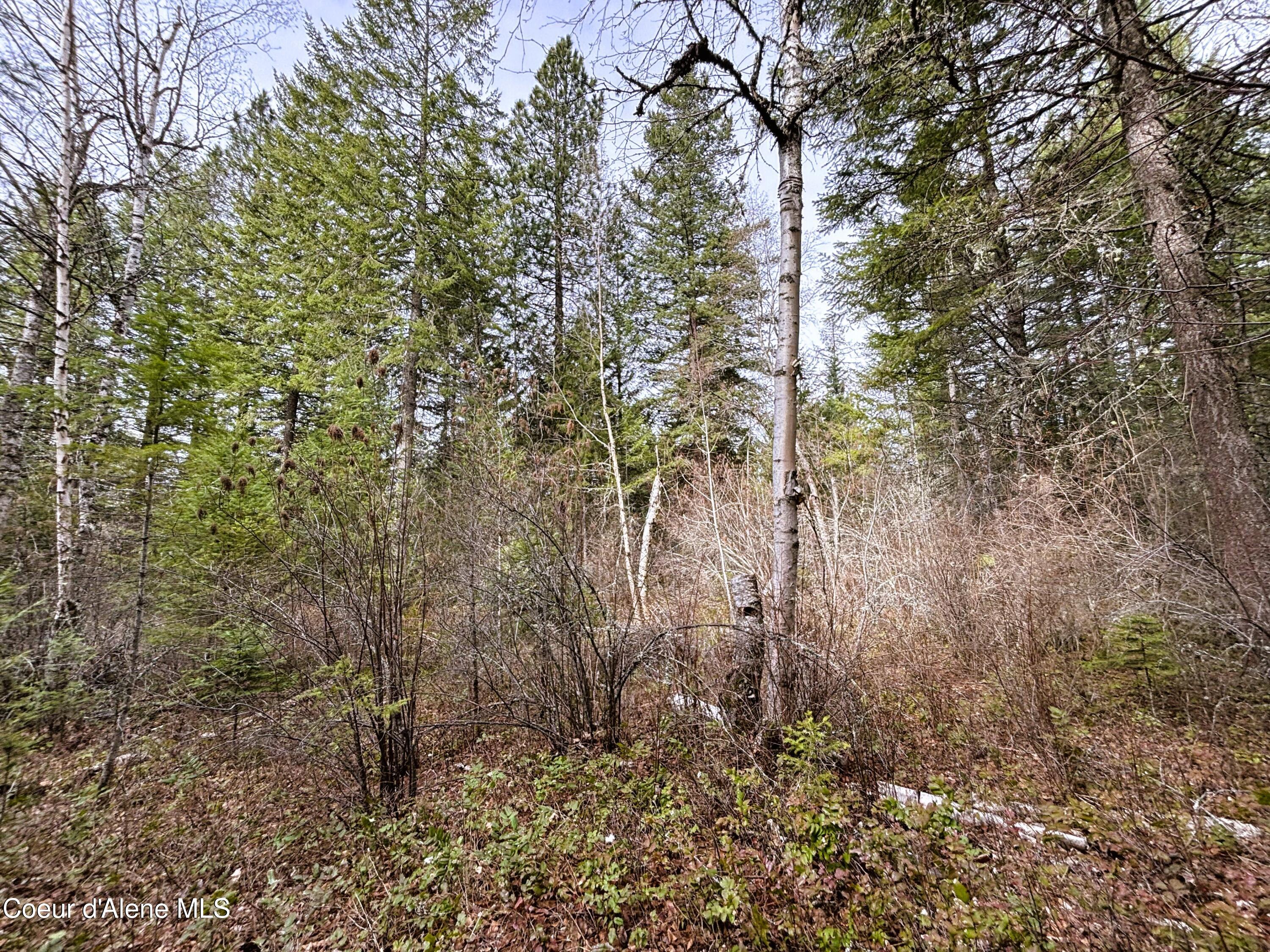 Nna Nna Road Cocolalla, ID 83813 - Photo 7 of 19 2