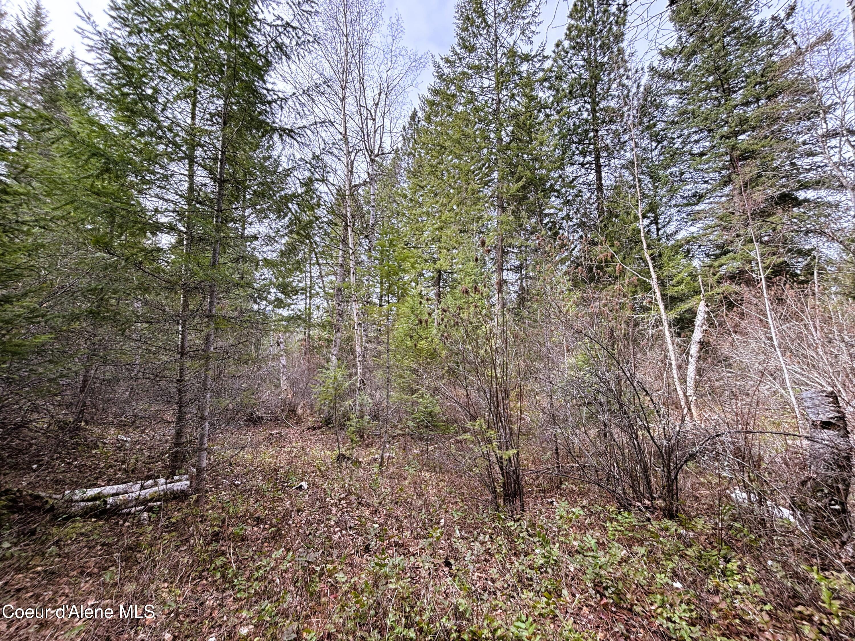 Nna Nna Road Cocolalla, ID 83813 - Photo 8 of 19 3