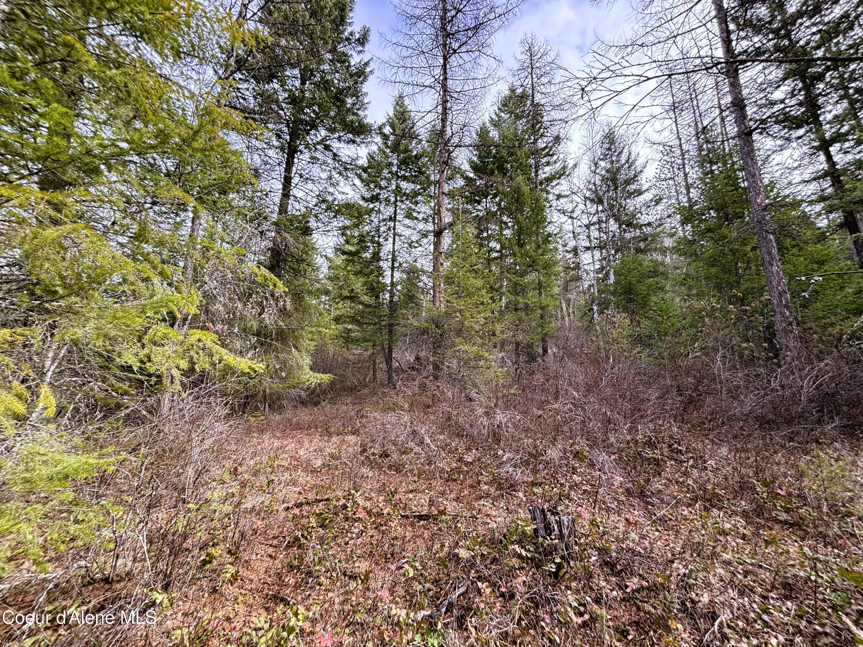 Nna Nna Road Cocolalla, ID 83813 - Photo 9 of 19 4