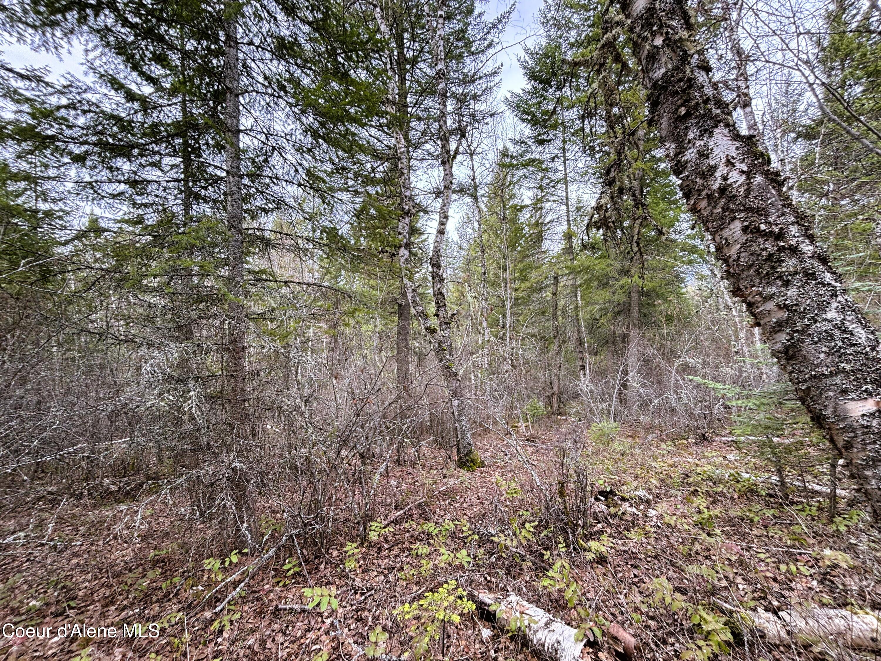 Nna Nna Road Cocolalla, ID 83813 - Photo 10 of 19 5