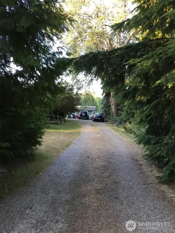 a view of a yard with a tree