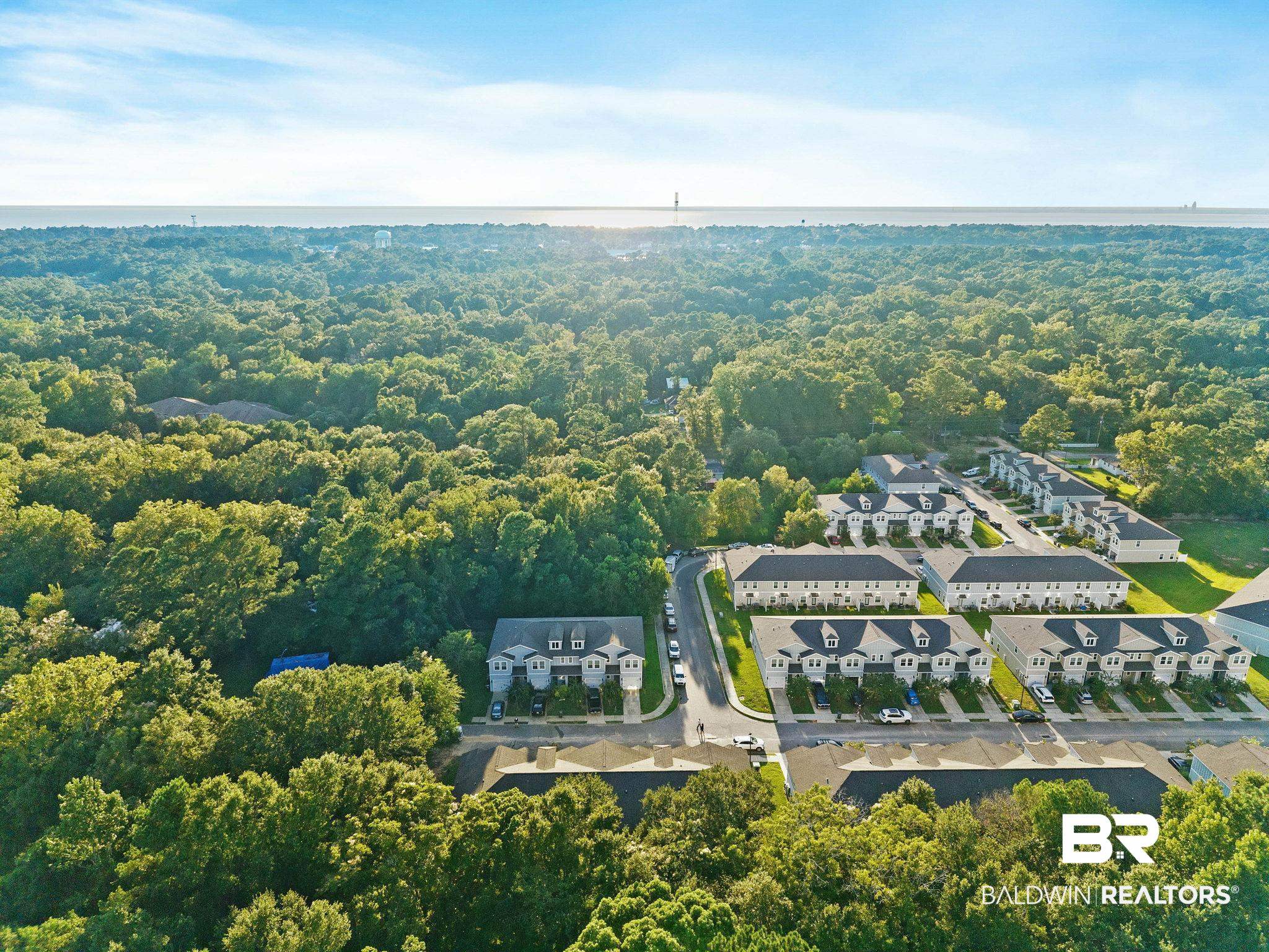 25806 Pollard Road, Unit 24 Daphne, AL 36526 - Photo 32 of 33 Aerial view of a forest