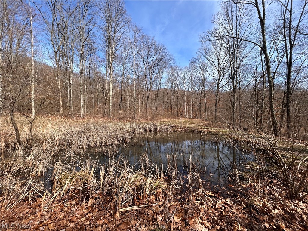 27762 Norris Road Tippecanoe, OH 44699 - Photo 21 of 24 View of personal pond