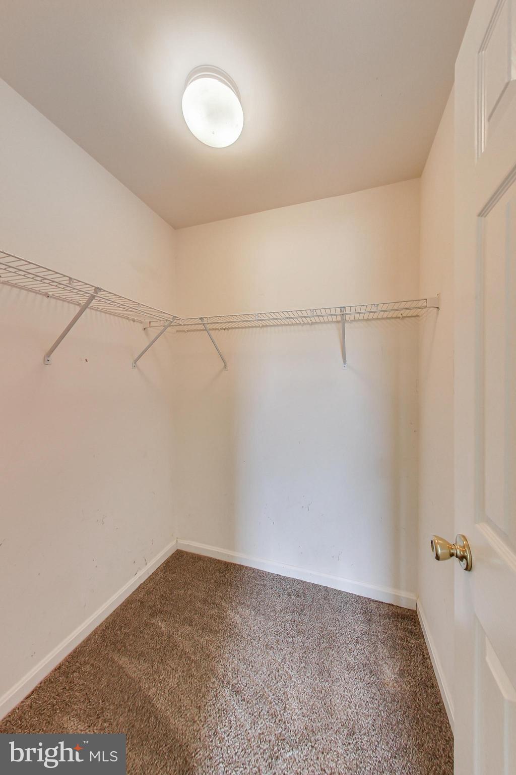 8716 Autumn Ridge Court Odenton, MD 21113 - Photo 15 of 42 Walk-In Closet!