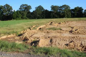 $65,000 | 9 Chapel Hill, Holly Springs, MS 38635