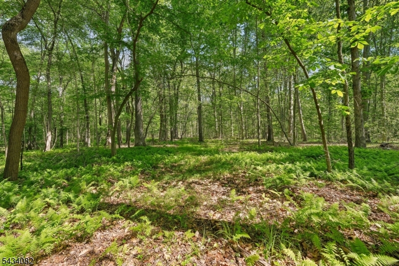 0 Homestead Road Gillette, NJ 07933 - Photo 5 of 26