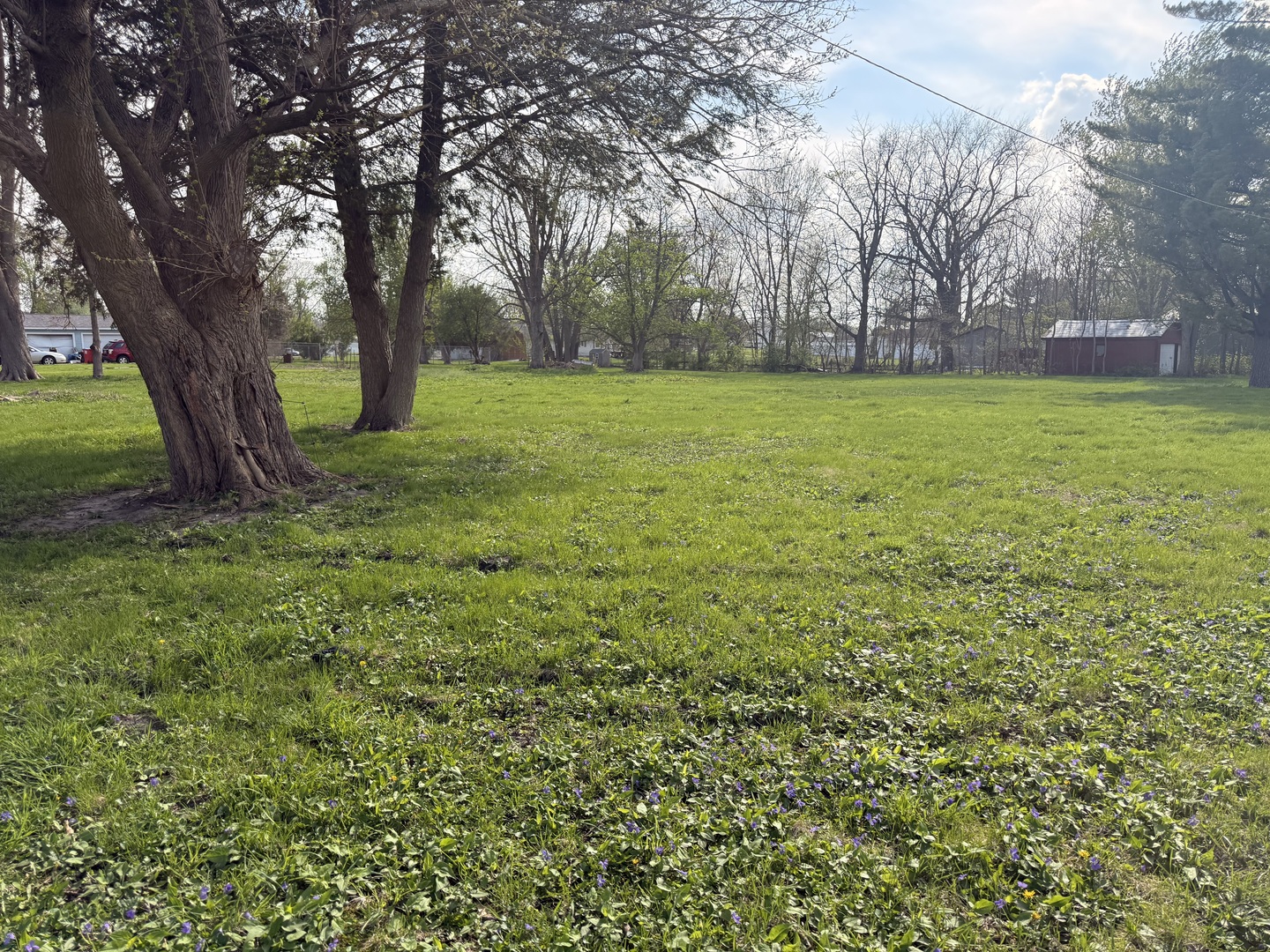 210 North Maple Street Magnolia, IL 61336 - Photo 3 of 4