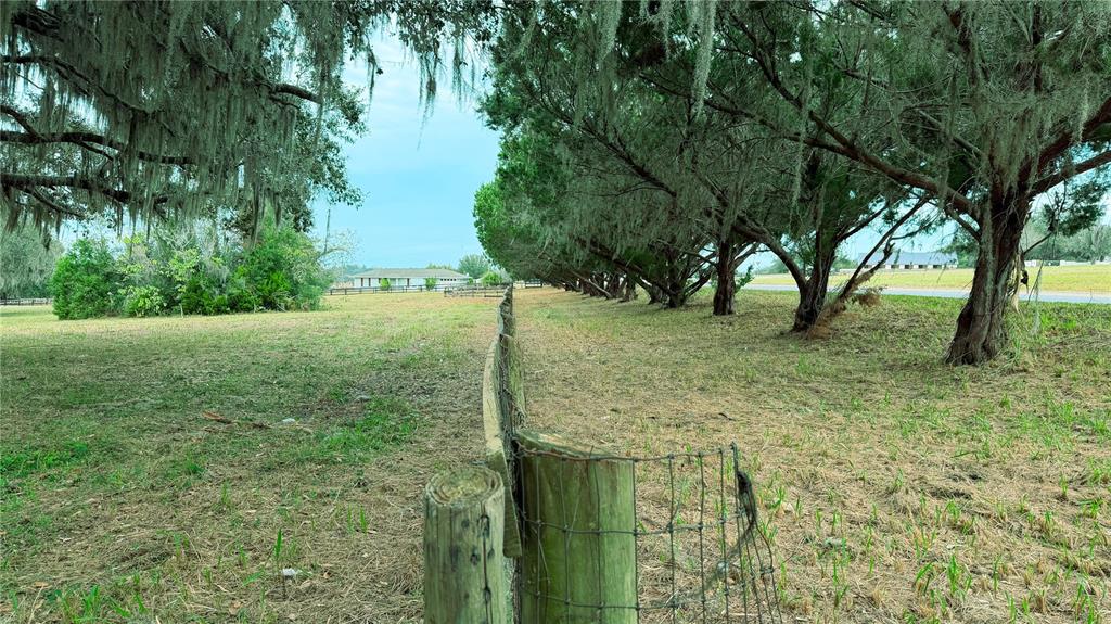 4600 Miller Road Ocala, FL 34482 - Photo 6 of 13 a view of backyard with green space