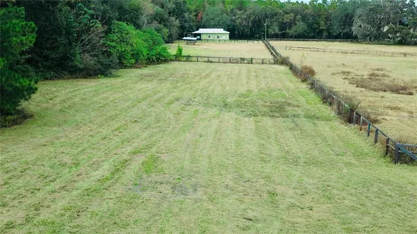 a view of a yard with a trees