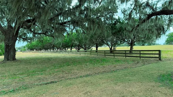 a view of grassy field with benches