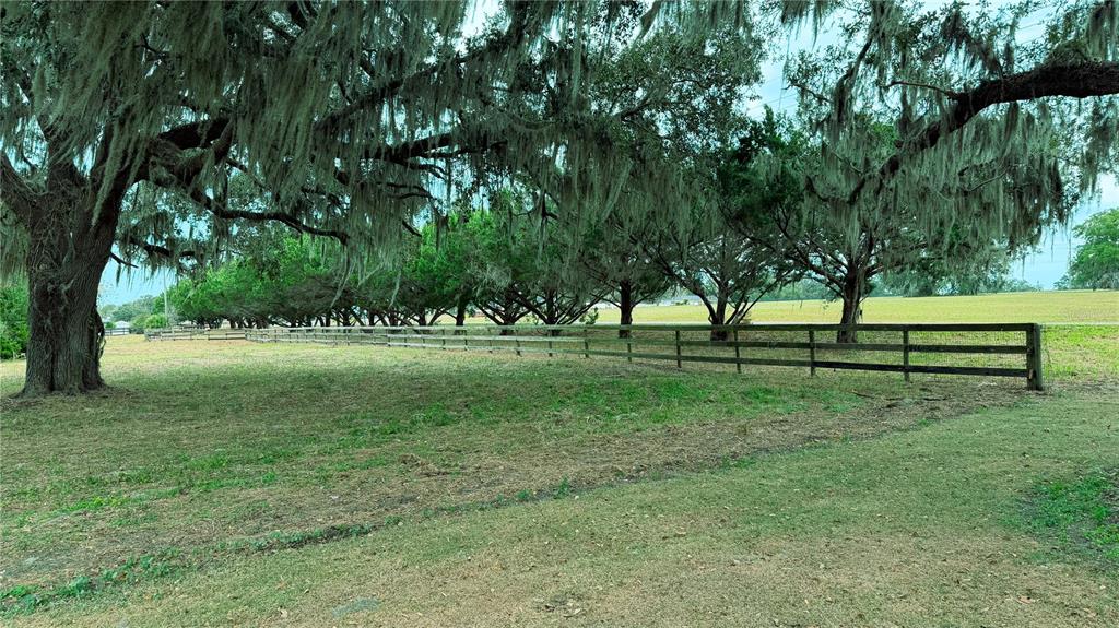 4600 Miller Road Ocala, FL 34482 - Photo 9 of 13 a view of grassy field with benches