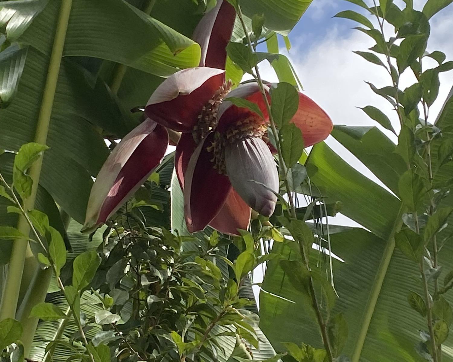 11786 Walmort Road Wilton, CA 95693 - Photo 64 of 89