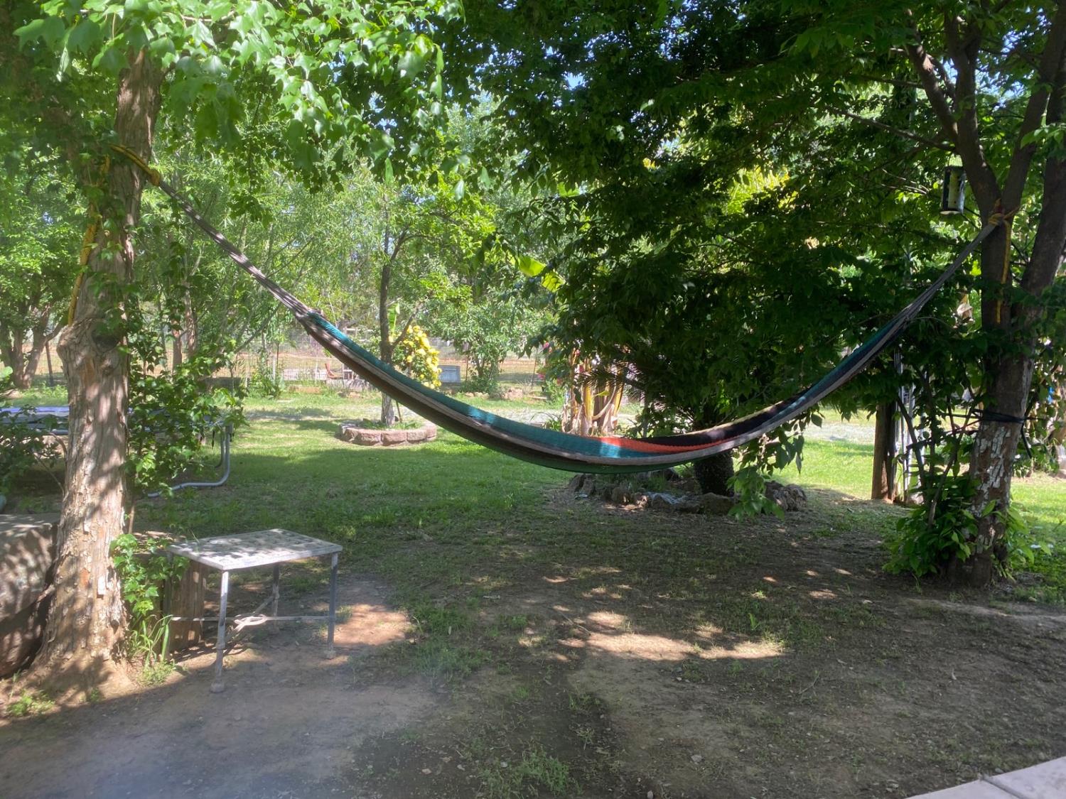 11786 Walmort Road Wilton, CA 95693 - Photo 80 of 89