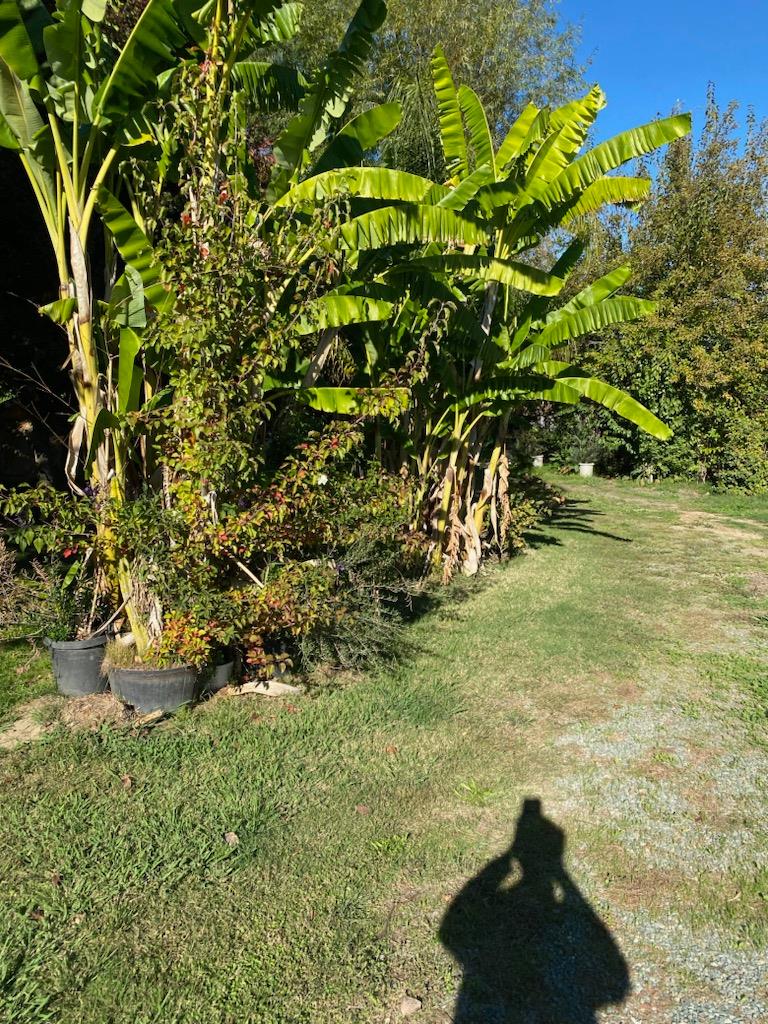 11786 Walmort Road Wilton, CA 95693 - Photo 87 of 89