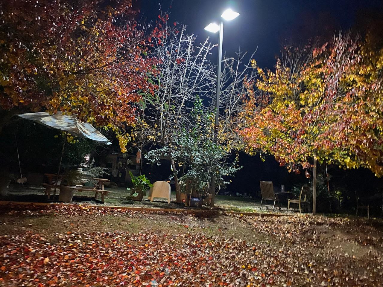 11786 Walmort Road Wilton, CA 95693 - Photo 89 of 89