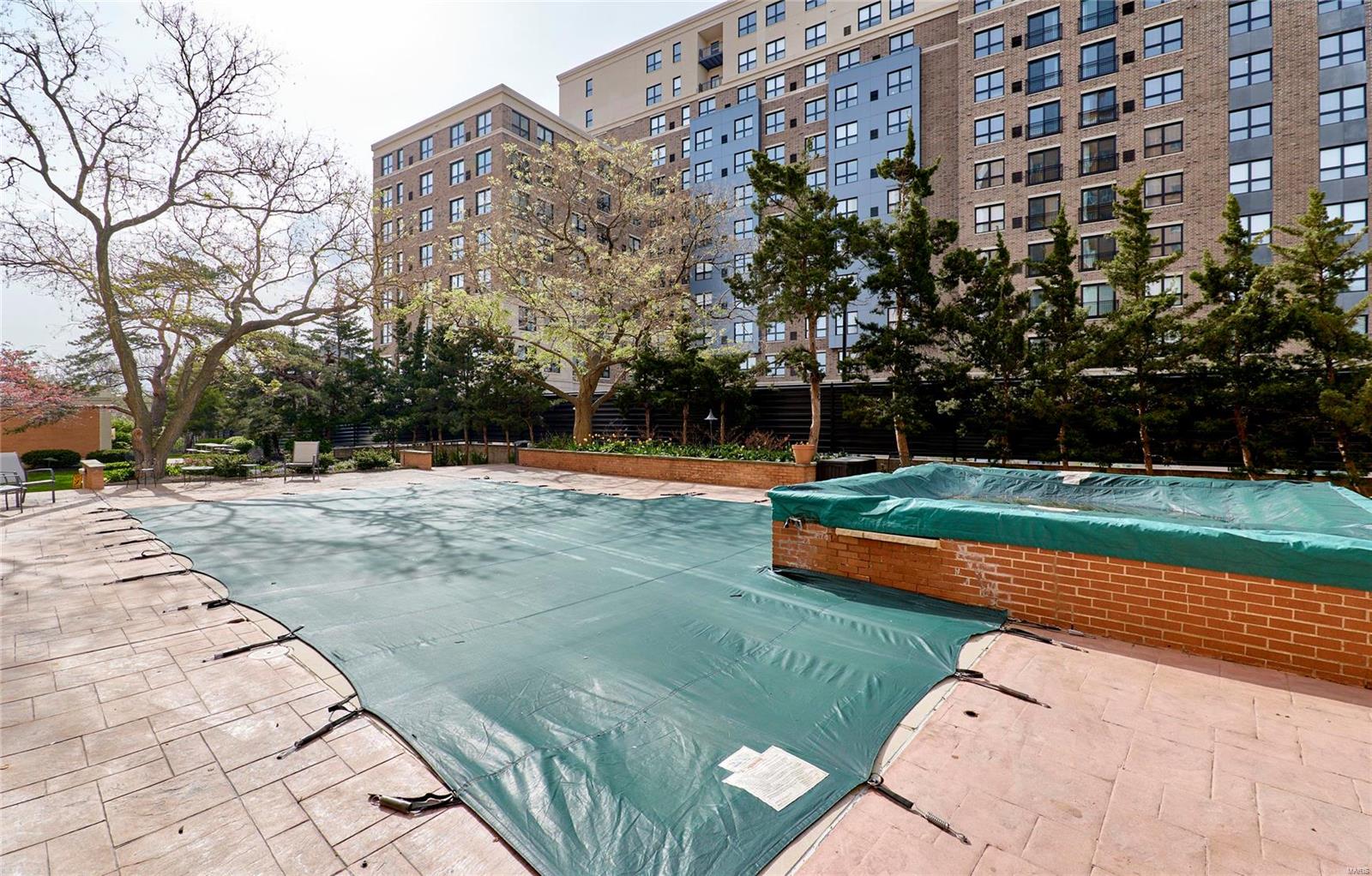 900 South Hanley Road, Unit 10D Clayton, MO 63105 - Photo 35 of 64