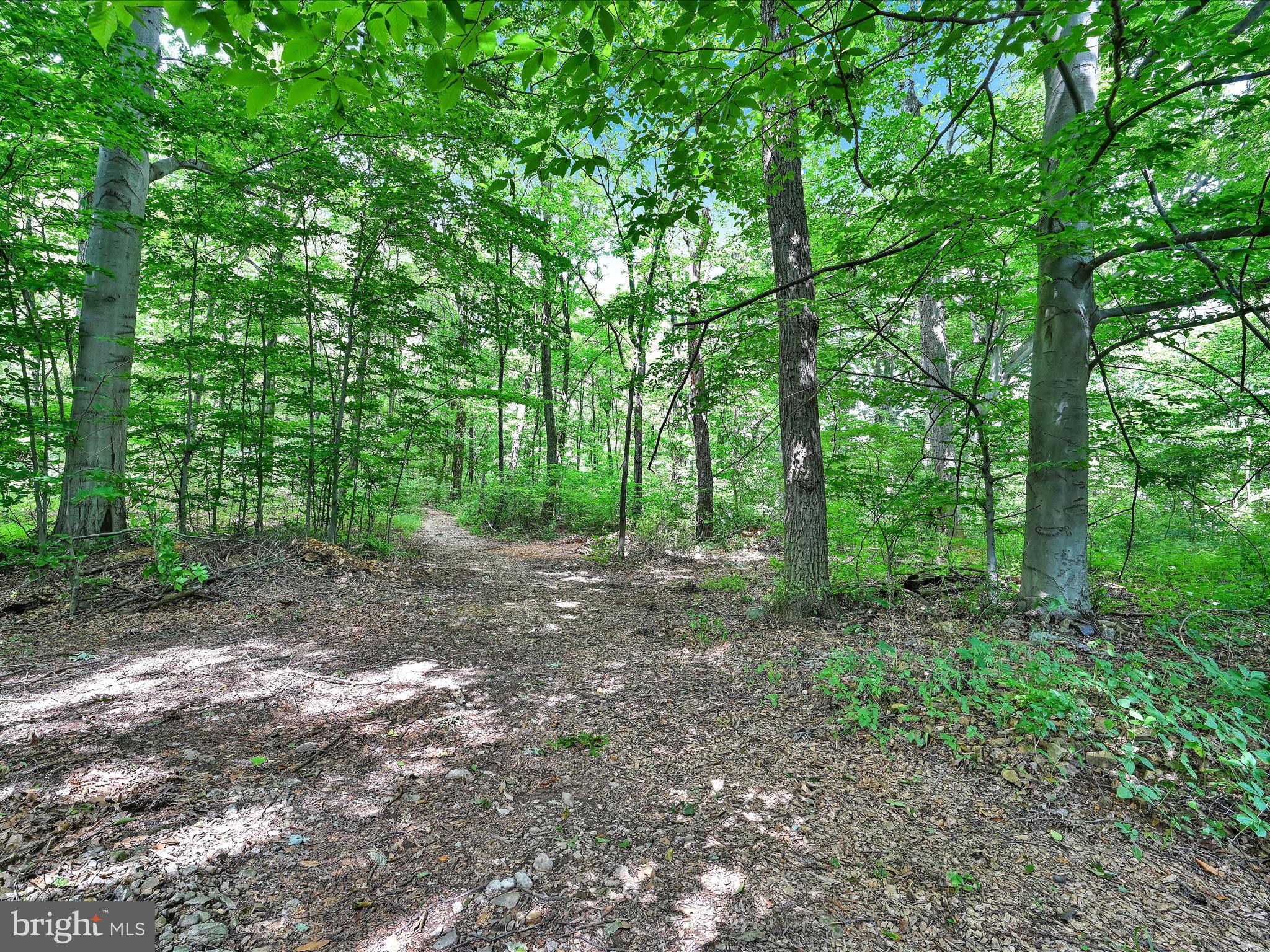 160 Strack Drive Myerstown, PA 17067 - Photo 32 of 33 Rear View