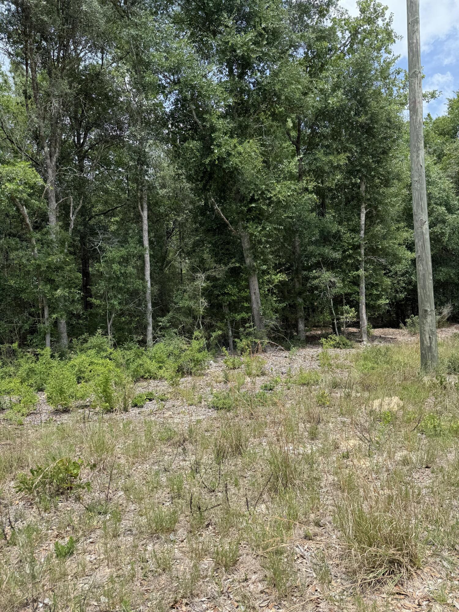 Tbd Christopher Lane Crestview, FL 32539 - Photo 2 of 5 lot3