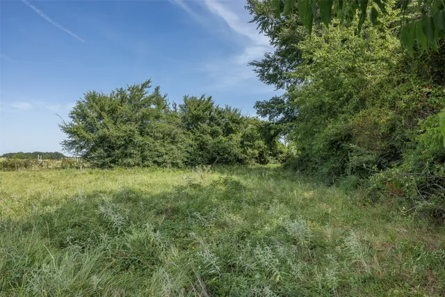 a view of a big yard with large trees