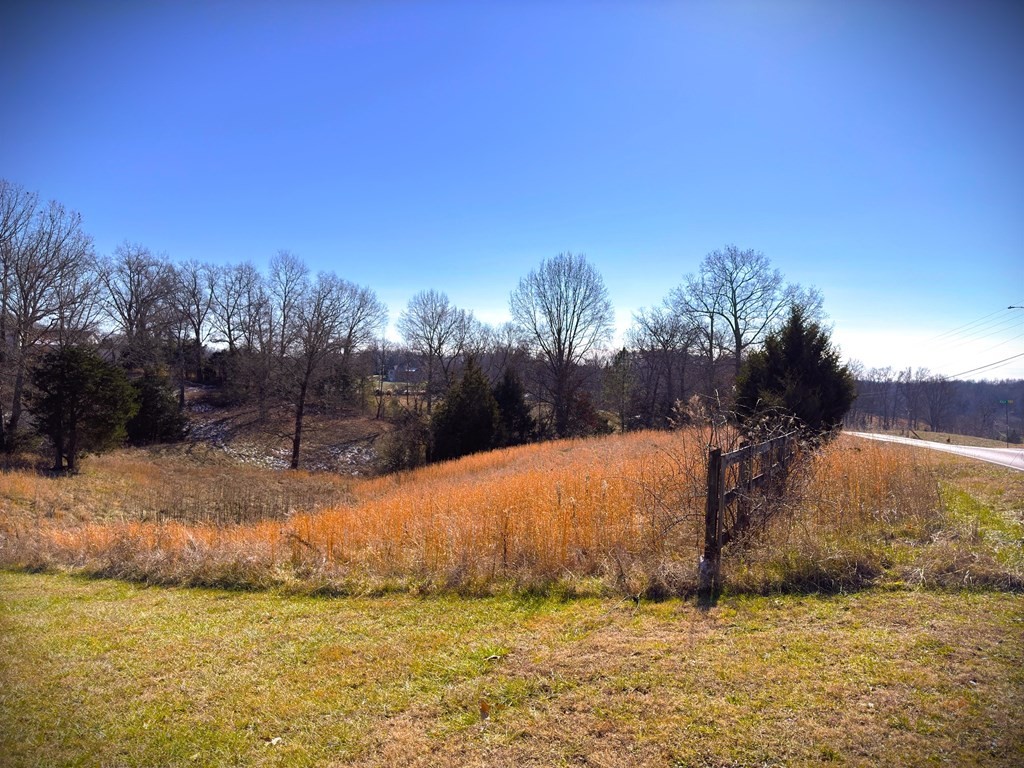 4160 Bunker Hill Road Cookeville, TN 38506 - Photo 2 of 5 a view of a yard with a house