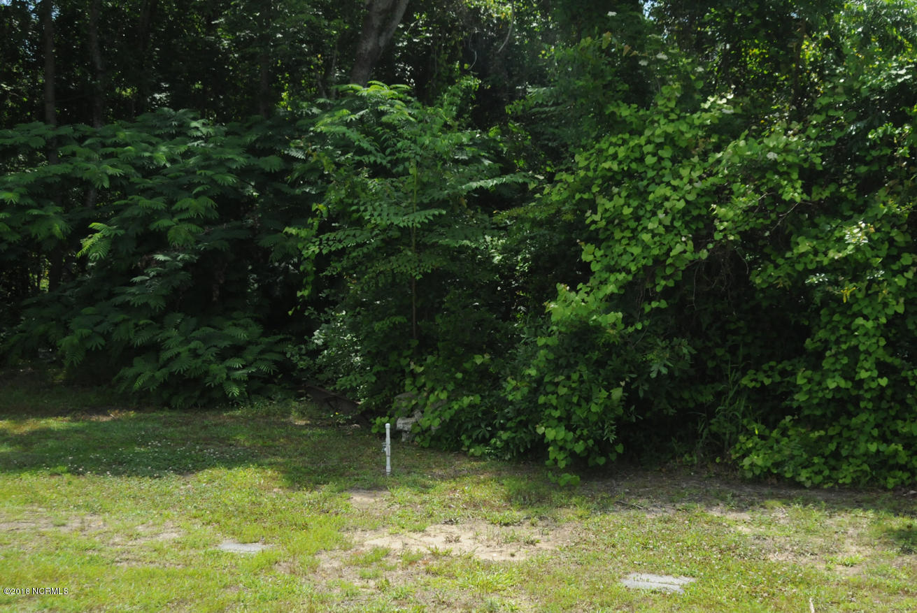 835 Sand Ridge Road Hubert, NC 28539 - Photo 7 of 11 Mobile home hookup