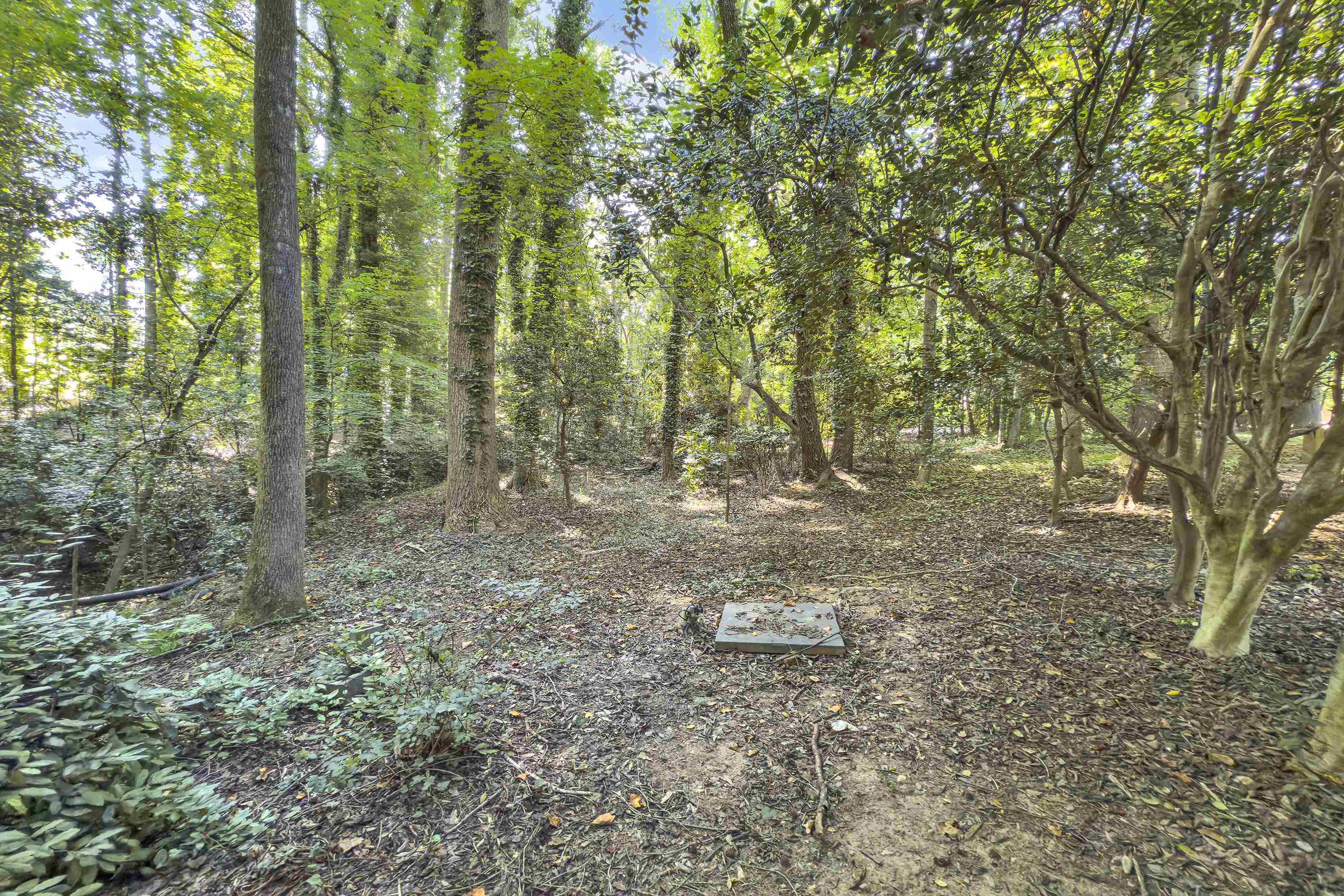 1023 4 Mile Branch Road Spartanburg, SC 29302 - Photo 5 of 43