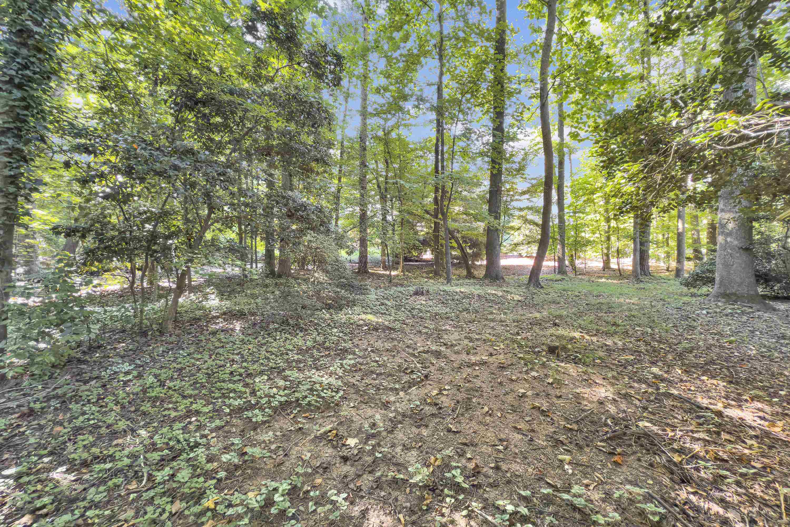 1023 4 Mile Branch Road Spartanburg, SC 29302 - Photo 7 of 43