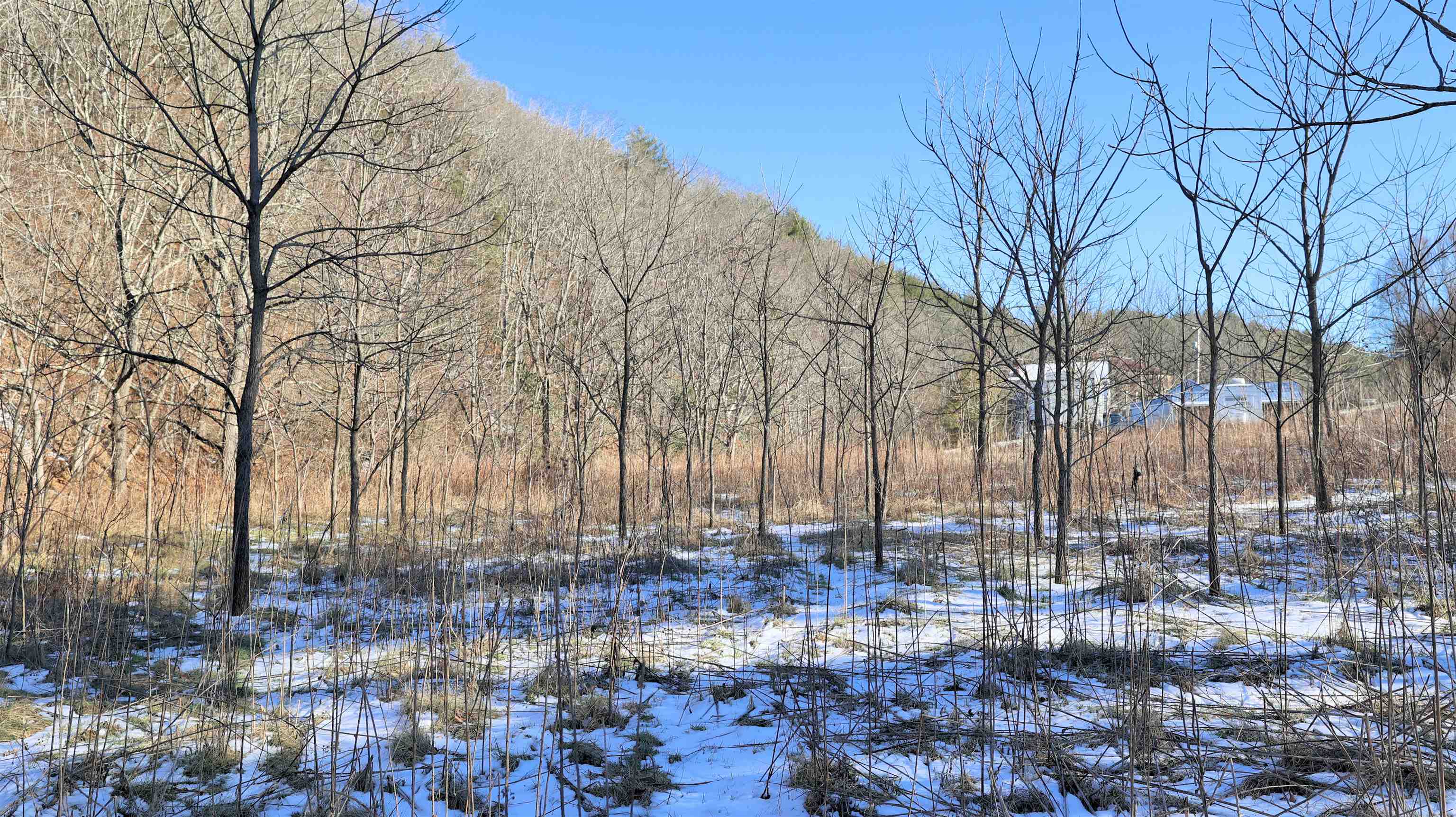 Tbd Webbs Mill Road North Floyd, VA 24091 - Photo 20 of 22 Gallery Image 20