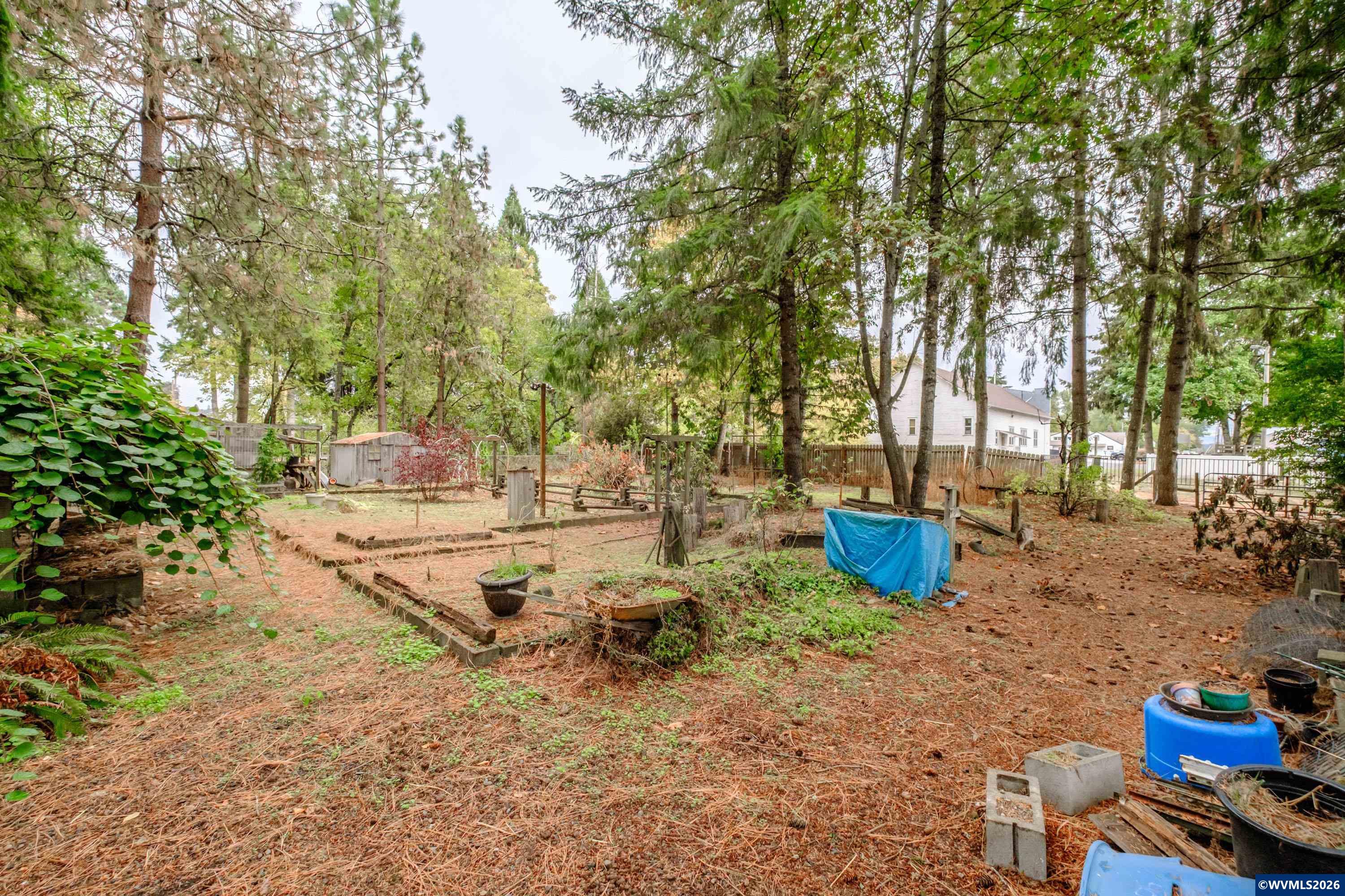 Lot 030100 Southwest Beech Street Scio, OR 97374 - Photo 37 of 41