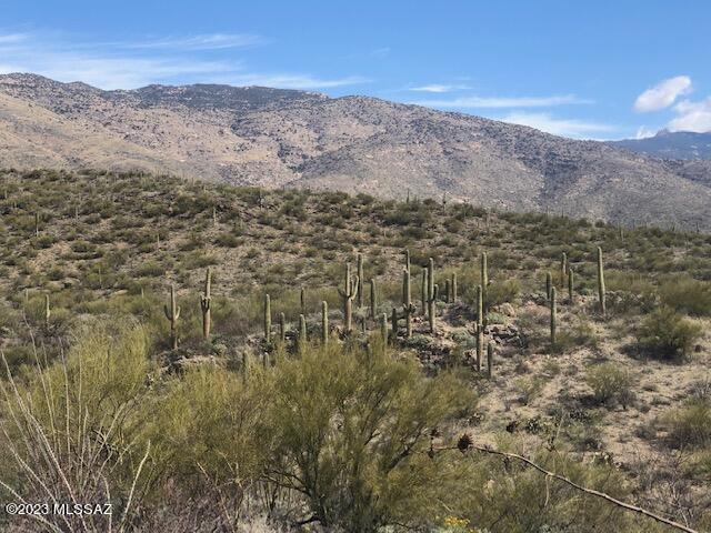 East Rincon Creek Ranch Road, Unit D Tucson, AZ 85747 - Photo 1 of 12 Gallery Image 1