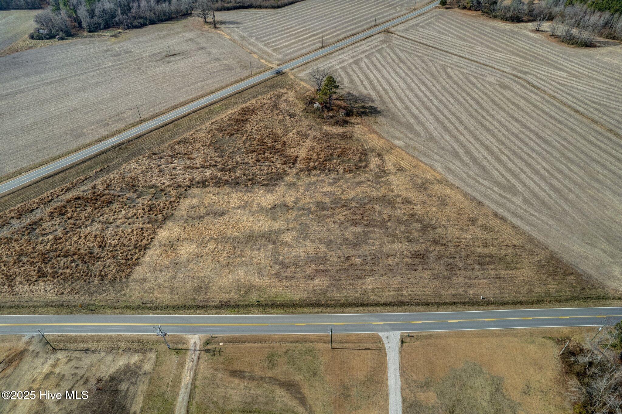 Lot 4 Red Oak Road Whitakers, NC 27891 - Photo 1 of 4 002-RedOakWatsonSeedRd-Whitakers-SMALL