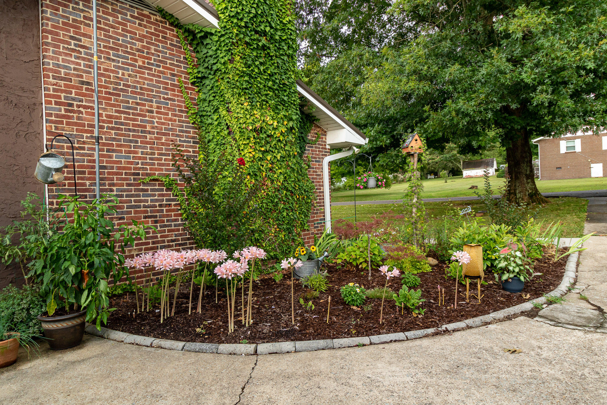 214 Cedar Drive Southeast Decatur, TN 37322 - Photo 23 of 31 Decatur-5