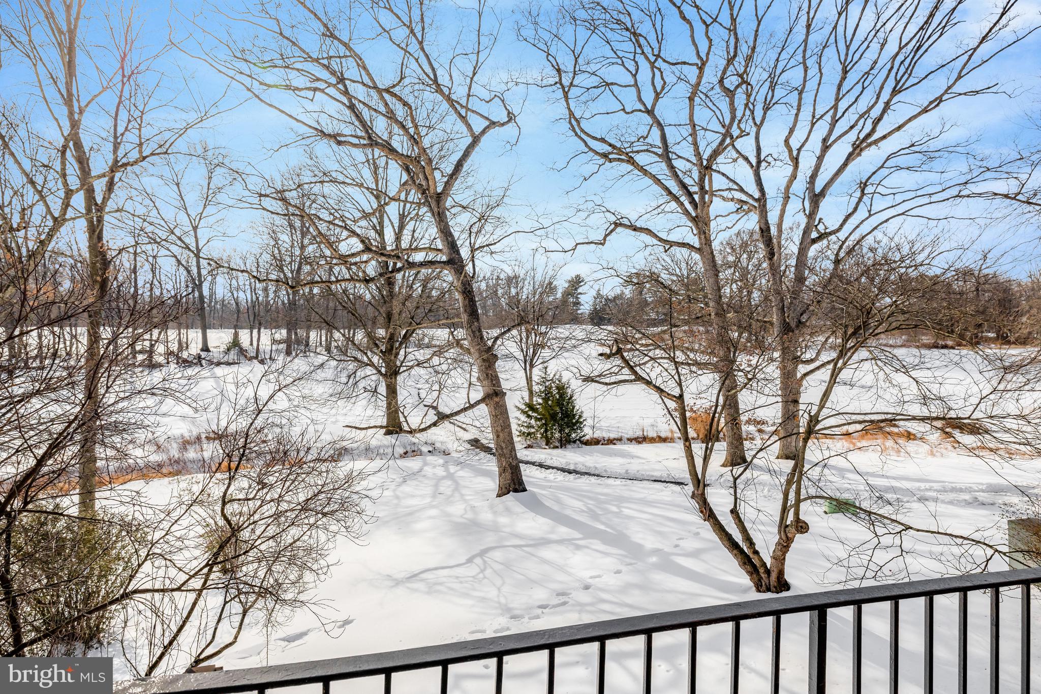 2120 Golf Course Drive Reston, VA 20191 - Photo 10 of 63 Beautiful views of the trees and golf course.