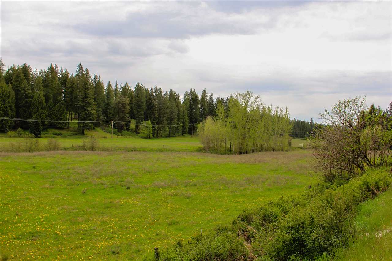 Nna Camden Road Elk, WA 99009 - Photo 10 of 10