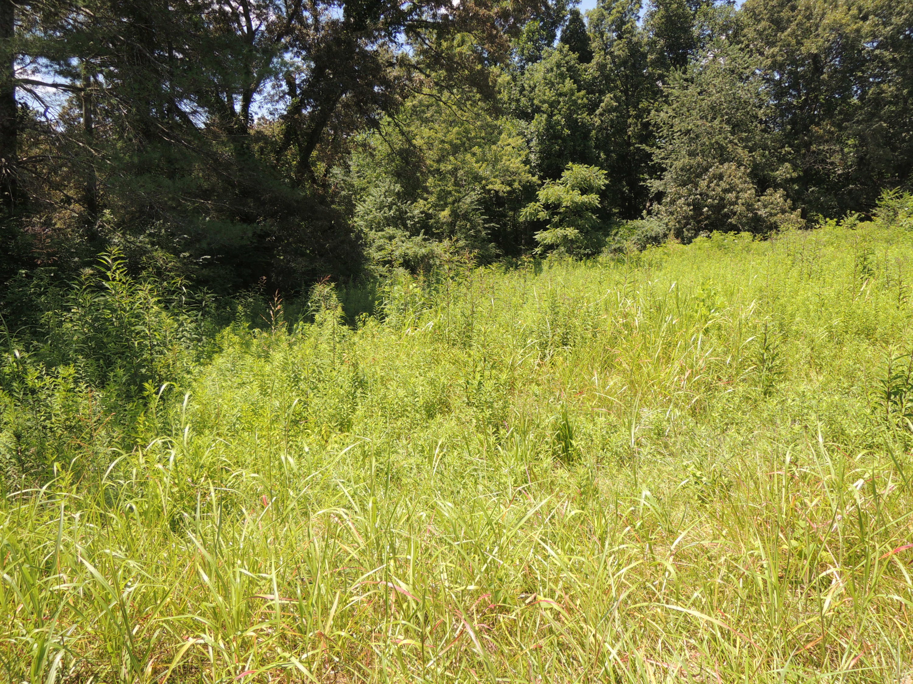 27 Waterfall Road Jamestown, TN 38556 - Photo 15 of 21 DSCN6420
