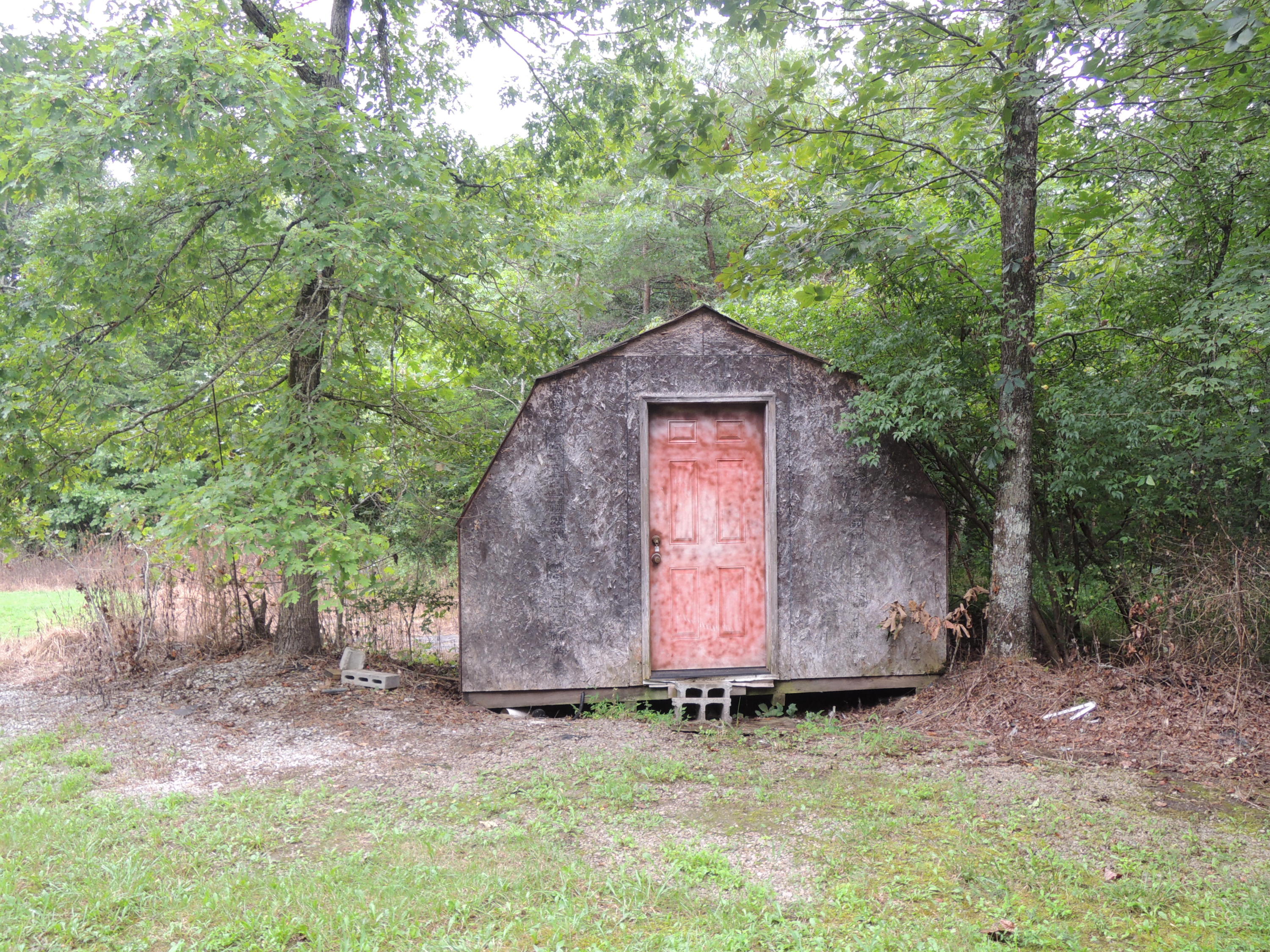 27 Waterfall Road Jamestown, TN 38556 - Photo 20 of 21 DSCN6438