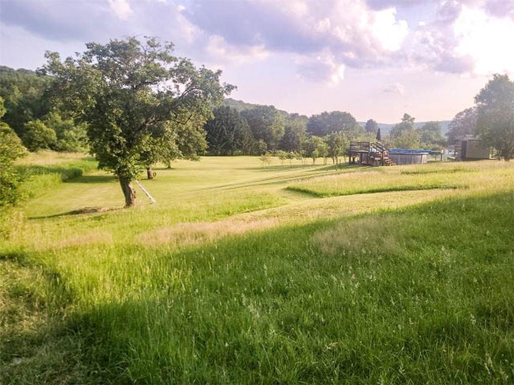 64 King Eldred, PA 16713 - Photo 15 of 15 a view of yard with swimming pool and trees