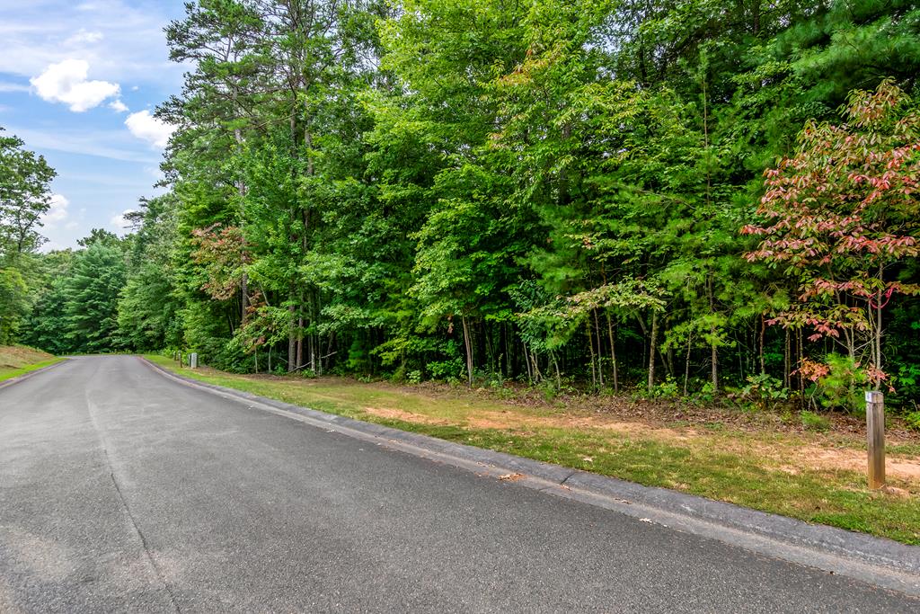 Lot 5-6 Abbott Mill Road Ellijay, GA 30540 - Photo 1 of 20 Main View