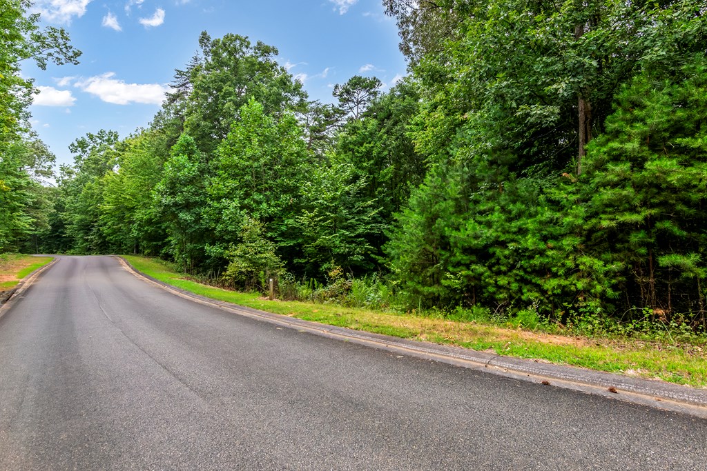 Lot 5-6 Abbott Mill Road Ellijay, GA 30540 - Photo 12 of 20 Gallery Image 12