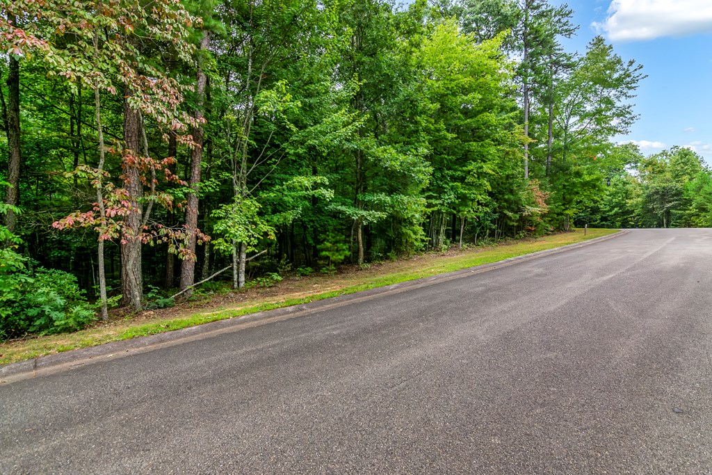 Lot 5-6 Abbott Mill Road Ellijay, GA 30540 - Photo 2 of 20 Gallery Image 2